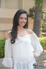 Richa Pallod at Malupu Movie Success Meet